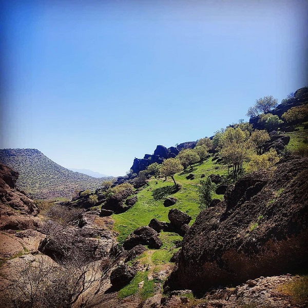 مخملکوه زیبا