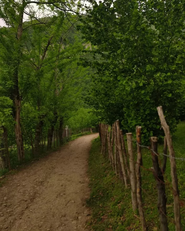 مسیر زیبای آبشار میلاش رودسر