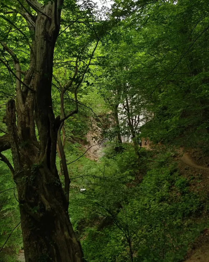 طبیعت جذاب آبشار میلاش رودسر