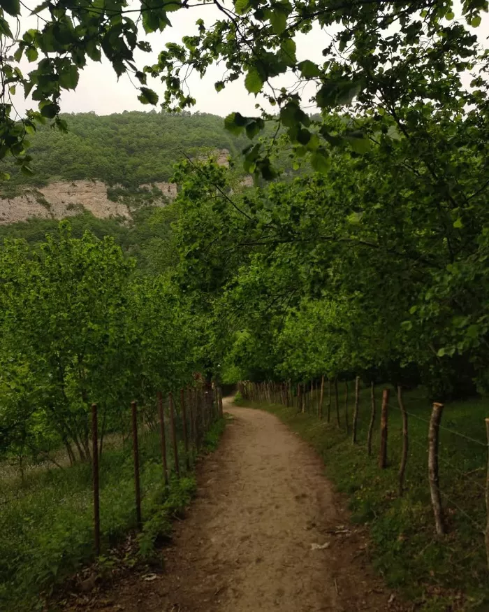 مسیر چشم نواز آبشار میلاش رودسر