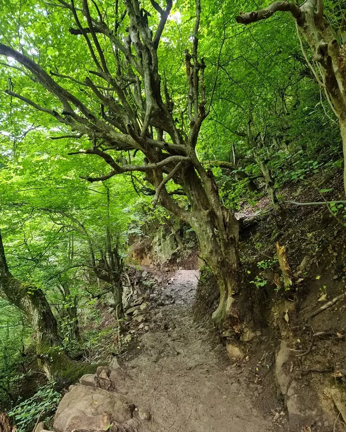 آبشار میلاش در رودسر گیلان