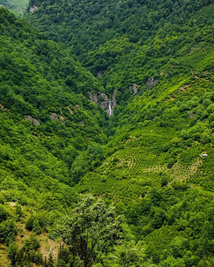 سرسبزی آبشار میلاش رودسر