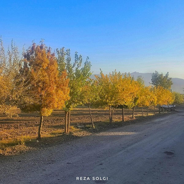 روستای معتمد آباد استان همدان