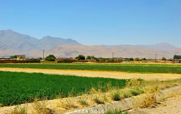جمعیت و ساختار اجتماعی روستای معتمد آباد
