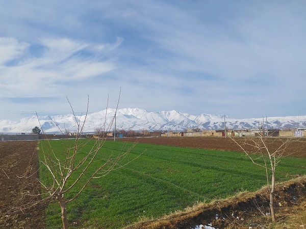 کشاورزی و اقتصاد روستای معتمد آباد