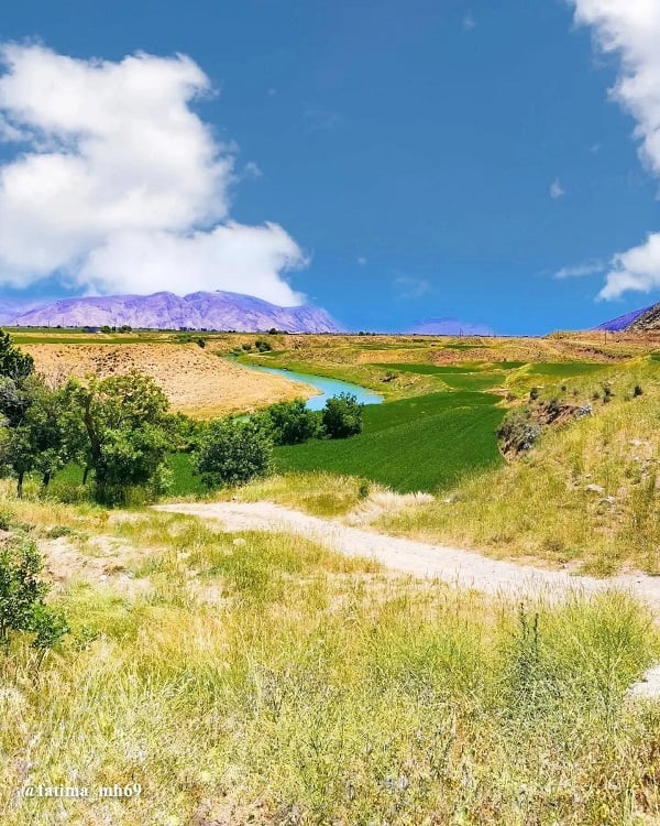 باغات روستای دشتک